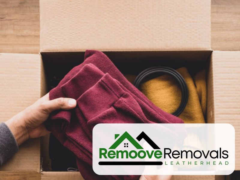 KT22 student removals Surrey Leatherhead